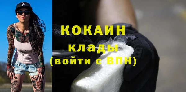 твердый Чекалин