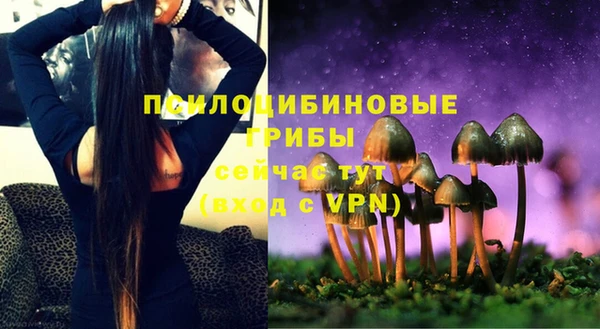 стафф Чегем