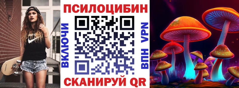 Галлюциногенные грибы прущие грибы  Острогожск 